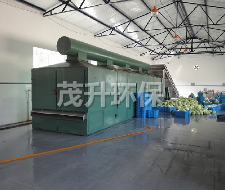 DWC系列脫水蔬菜帶式干燥機