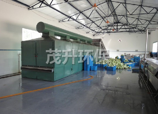 DWC系列脫水蔬菜帶式干燥機(jī)